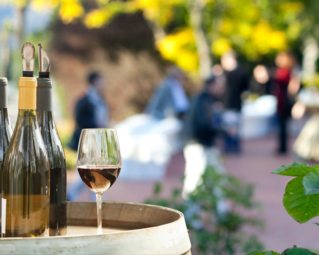 Cool Stick - Vino Fresco